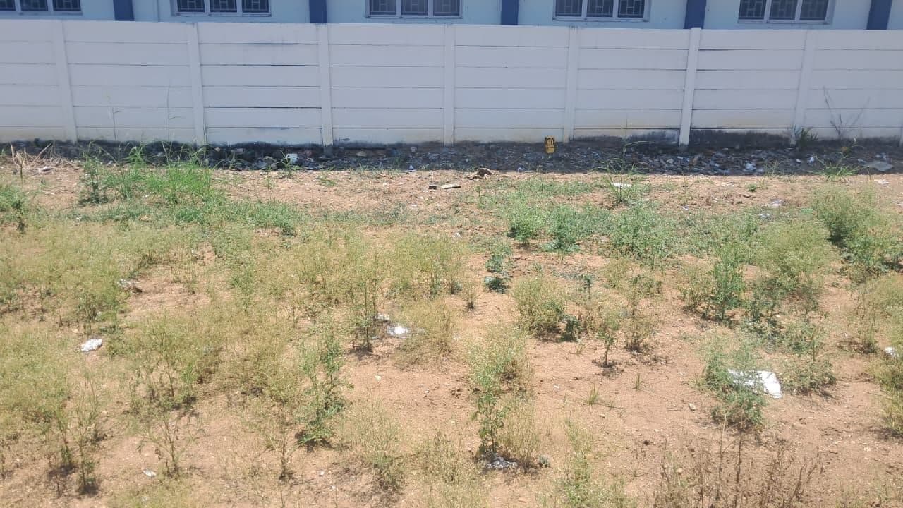 2.32 Cent Land For Sale In Veerapandi Pirivu